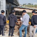 창녕동애등에 네이버블로그