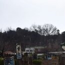 서봉산 산림욕장 2 네이버블로그
