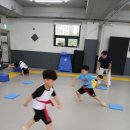 효.백호태권도장 이미지