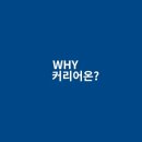 온커리어 이미지