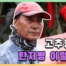 멘토 영남지사 네이버블로그