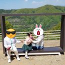 양아목장 이미지