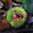 사람냄새 이미지