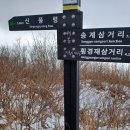 통안교 Daum카페