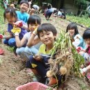 오부초등학교 이미지