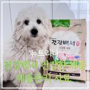 카길퓨리나 | 체중관리 사료 건강백서 건강한체중 기호성 너무 좋아요