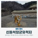 도곡리 신돌석장군 전시관 | 경북 영덕 여행 코스 아이와 가볼만한곳 신돌석장군유적지 생가