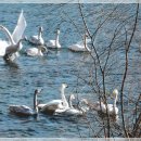 강물놀이터 이미지