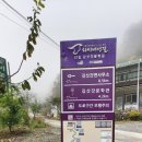 김삿갓로 이미지