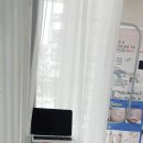 레푸스 앤 두두네일 이미지