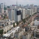 고수림 이미지