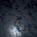 뉴욕야시장S(에스)울산지웰시티자이점 | [울산 동구] 비오는날에 간술하기 좋은 뉴욕야시장