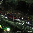 포레스트12 이미지