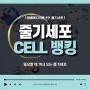 원셀메디의원 이미지