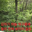 나눔약초 Daum카페