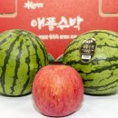 주산지애플 이미지