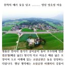 망호정마을 이미지