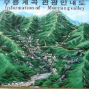 무릉세탁 이미지