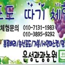 이은재농장 네이버블로그
