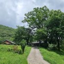 [보령시 성주산 백운사] 성주산 흰구름 속의 사찰