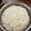 한양곰탕 | 경주곰탕맛집 수백곰탕 - 맛있는 한우곰탕 전문점