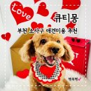 큐티몽 이미지