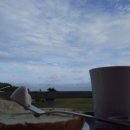 제주도에서 혼자 놀기 이미지