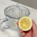 미쁨생활건강 | 레몬착즙기 추천 미쁨누리 FWAS 유리 레몬스퀴저로 간편하게 레몬수 만들기🍋