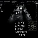 마미스튜디오 이미지