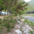 진부(오대산)관광농원 이미지