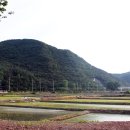 썬샤인관광펜션