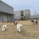 사랑가득한유치원 이미지