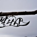 발왕산 관광케이블카 코스 이미지