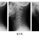 메디테스 이미지