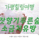 푸른숲리조트 이미지