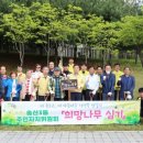 희망나무심기3 이미지