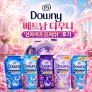 동남아 빨래 냄새! 향기에 진심인 제가 정착한 ‘베트남 다우니 선라이즈 프레쉬’ 내돈내산 솔직 후기!