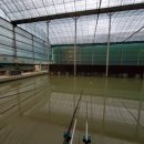 화현낚시터 이미지