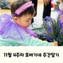[주간일기] 11월 4주차