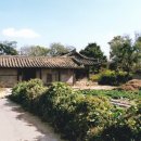 대소고택 이미지