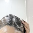 샴푸요정 - 창원시 마산합포구 | 탈모샴푸 /샴푸추천] 72시간 잔향 지속! 엘라스틴 퍼퓸 드 리추얼 이브닝 로맨스 샴푸 & 트리트먼트 후기 🤍