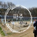 UR(파주시)-[교하로]-상-36 | 파주 타조농장 돌아기랑 동물원 다녀오기 동물먹이체험 승마체험