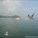풍도·난지도
