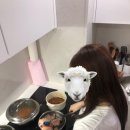 아이러브나영 이미지