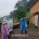김진관농장 네이버블로그