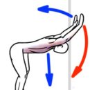 근육다짐 이미지