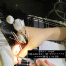 남매이발관 네이버블로그