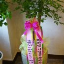 호계참한의원 이미지