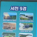 제 고향은 서천입니다 이미지