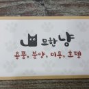 묘한냥 이미지
